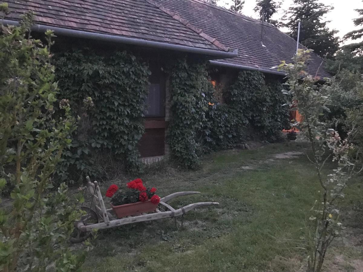 Vadszőlős Porta Ispánk Kültér fotó